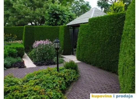 Usluge Baštovana (Uređenje i održavanje zelenih površina) - 7/7