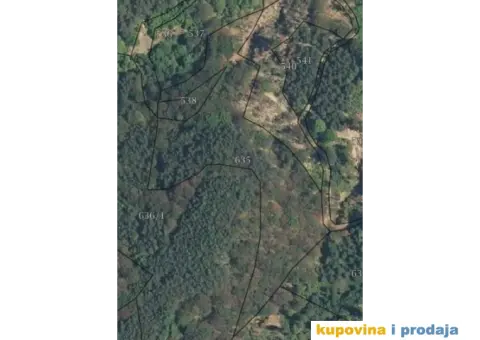 Prodajem 2 hektara šume u Dlabočici -Staro Nagoricane - 1/3