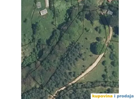 Prodajem 2 hektara šume u Dlabočici -Staro Nagoricane - 2/3