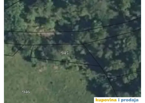 Prodajem 2 hektara šume u Dlabočici -Staro Nagoricane - 3/3