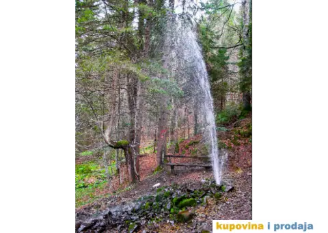 VOGT -profesionalni top za zalivanje trave - 9/10