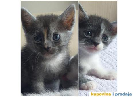 Macici na poklon - 2/2