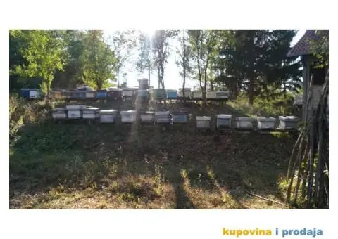 Prodajem košnice sa pčelama - 1/3