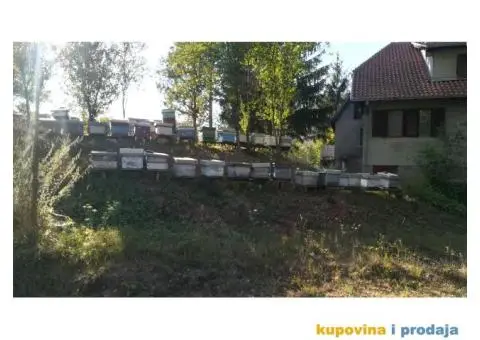 Prodajem košnice sa pčelama - 2/3