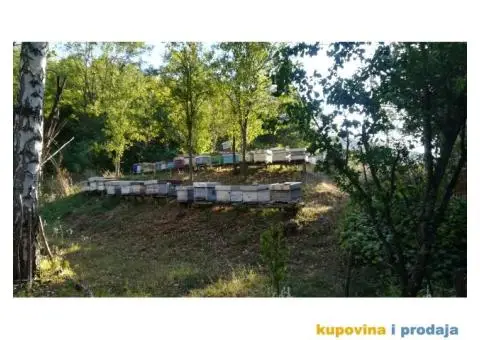 Prodajem košnice sa pčelama - 3/3