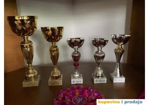 Rodezijski ridžbek, štene - 8/12