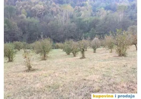 HITNO NA PRODAJU KUCA SA SVIM IMANJEM U SELU KOSTAJNIK KOD KRUPNJA - 6/7