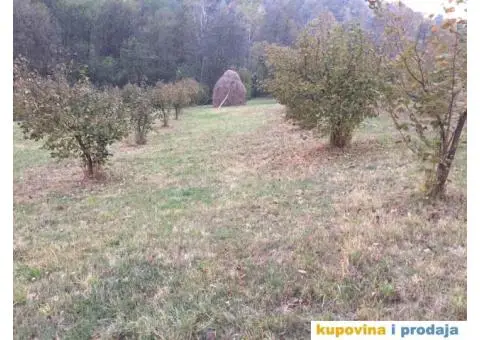 HITNO NA PRODAJU KUCA SA SVIM IMANJEM U SELU KOSTAJNIK KOD KRUPNJA - 7/7