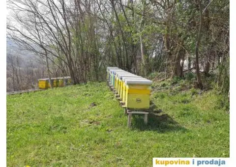 Prodajem pcele - 1/5