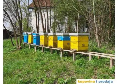 Prodajem pcele - 2/5