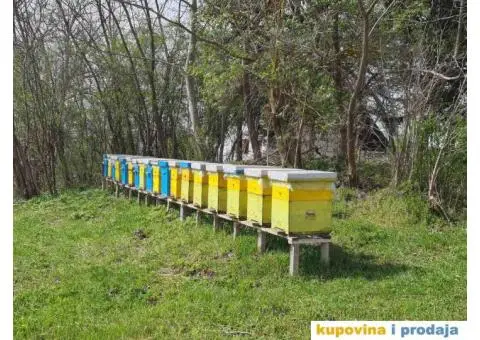 Prodajem pcele - 3/5