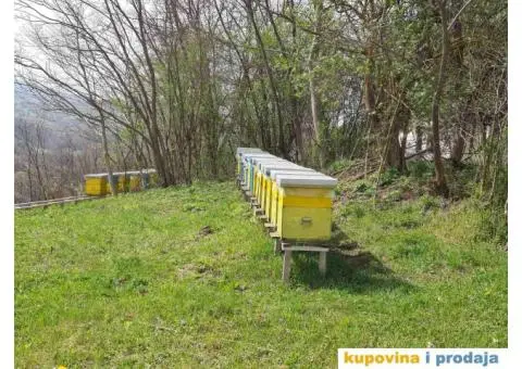 Prodajem pcele - 5/5