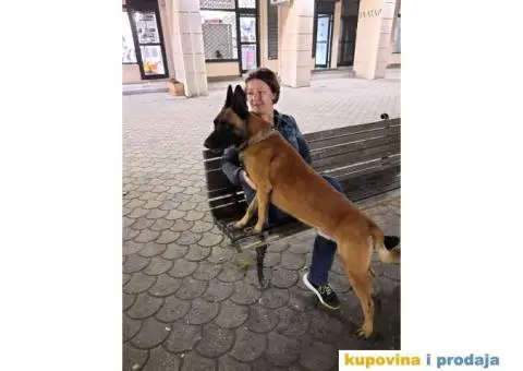 Slobodan za parenje - 5/5