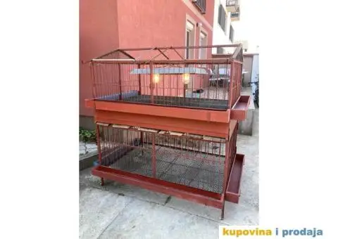 KAVEZ ZA UZGOJ PILICA - 1/4