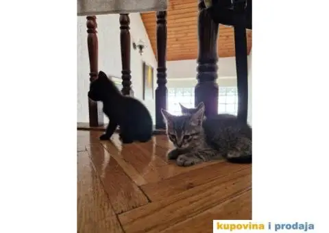 Macici na poklon - 1/5