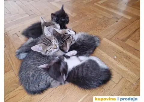 Macici na poklon - 5/5