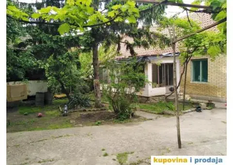 Prodaja kuce u Beocinu - 1/5