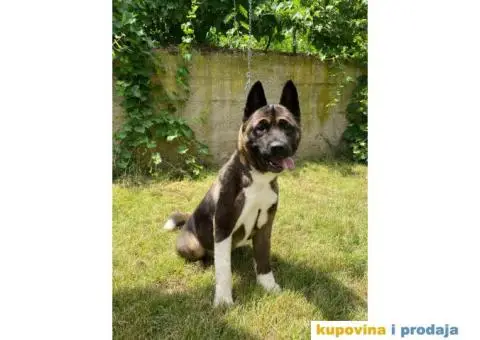 Mlada zenka uskoro teranje