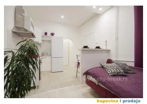 Namešten, renoviran, odmah useljiv, dvostrano orijentisan stan preko puta Beograda na vodi, CG, KLIM - 8/8