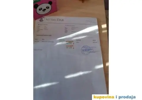 Štenci maltezera - 7/8