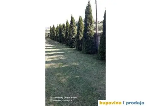 Prodajem dve vikendice u Natalincima - Topola - 1/9