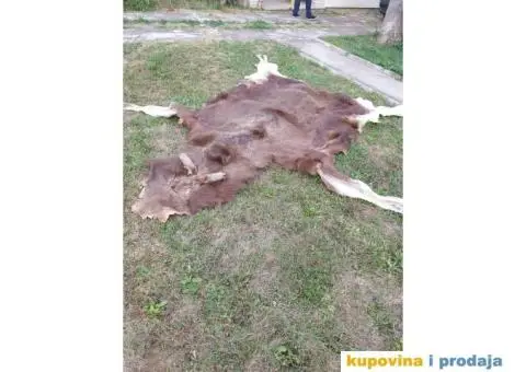 Krzno Irvasa 3x3 m - 1/4