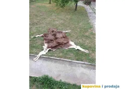 Krzno Irvasa 3x3 m - 3/4