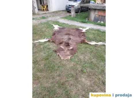 Krzno Irvasa 3x3 m - 4/4