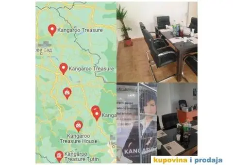 Kangaroo Treasure posao preko interneta - 2/4