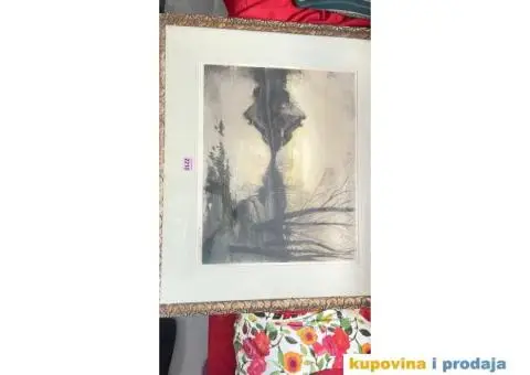 Starija slika sa ramom - 4/8