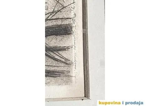 Starija slika sa ramom - 6/8