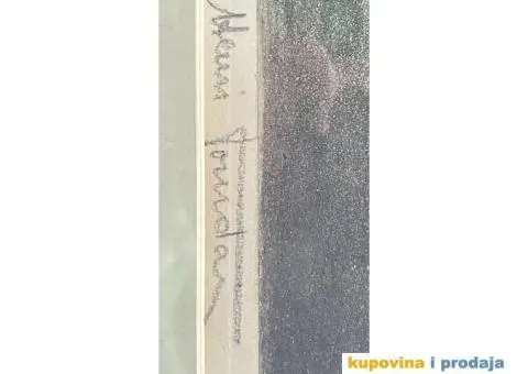 Starija slika sa ramom - 7/8