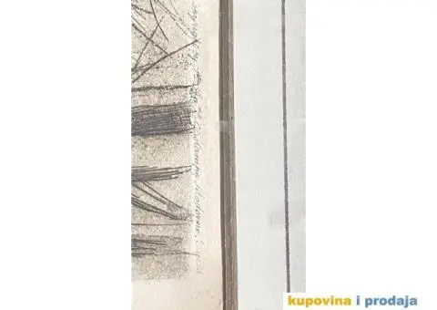 Starija slika sa ramom - 8/8