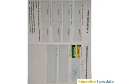 Belgijski Ovčar štenci - 14/15