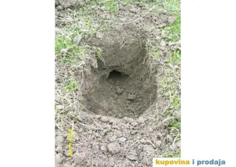 Zamka za krtice - 2/3