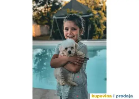 Fotografisanje događaja povoljno - 6/11