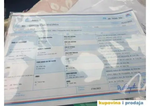 Belgijski Ovčar štenci - 15/15