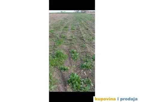 Rumenka plac na prodaju - 3/10