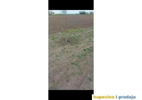 Rumenka plac na prodaju - 6/10