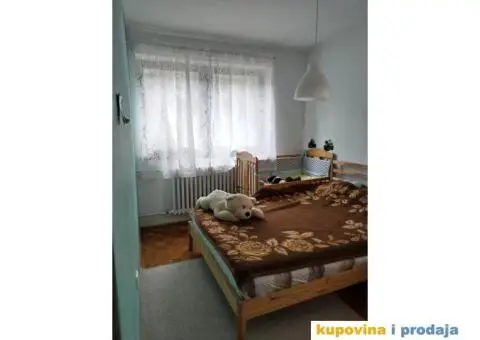 Mirijevske Karingtonke - komforan, porodični stan sa dvorištem - 9/14