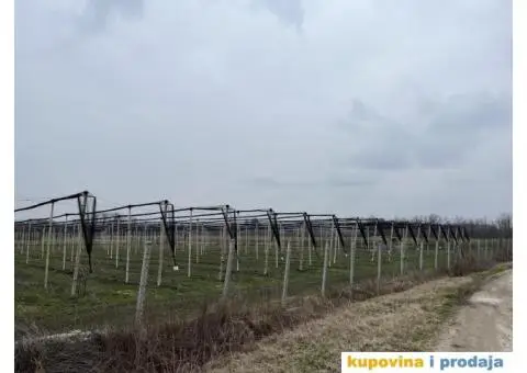Poljoprivredno zemljiste 4 ha - 6/7