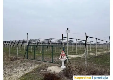 Poljoprivredno zemljiste 4 ha - 7/7