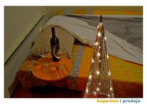 Izdajem stan na dan u centru Zemuna - 8/15