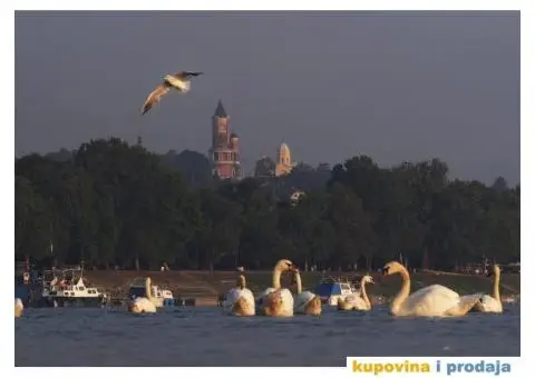 Izdajem stan na dan u centru Zemuna - 10/15