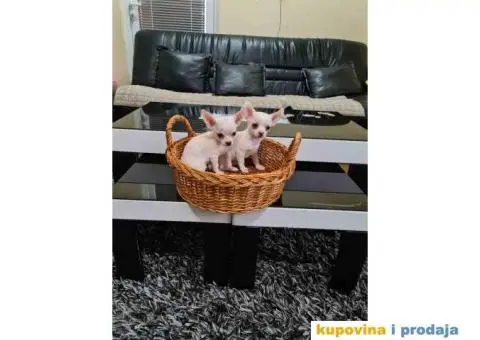 Mikro CIVAVE spremne za preuzimanje - 2/8