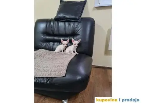 Mikro CIVAVE spremne za preuzimanje - 5/8