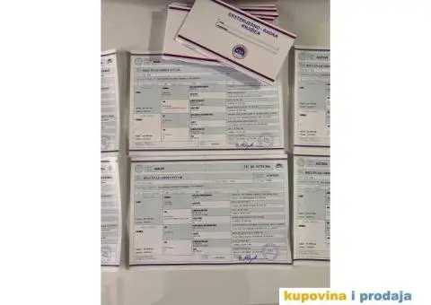 Beli Švajcarski ovčar štenci - 9/10