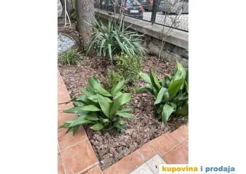 Uredjenje dvorista - 2/15