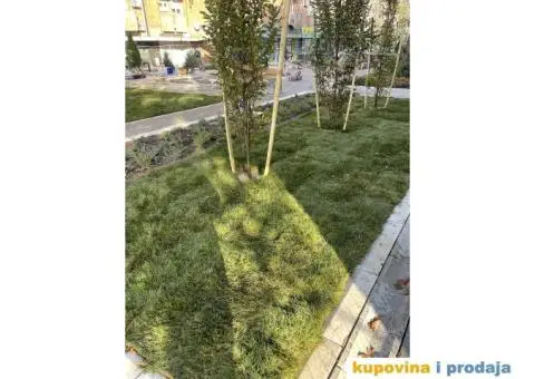 Uredjenje dvorista - 5/15