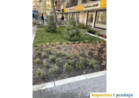 Uredjenje dvorista - 6/15